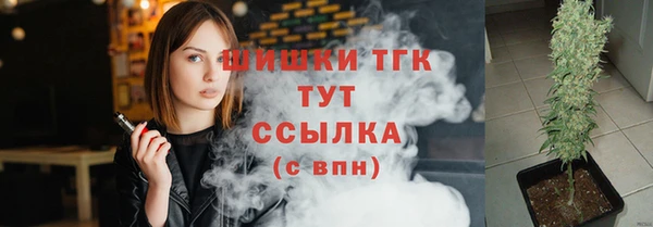 ешки Аркадак