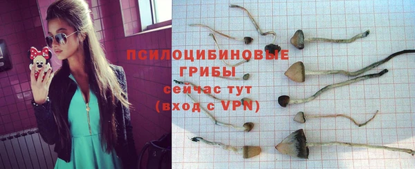 ешки Аркадак