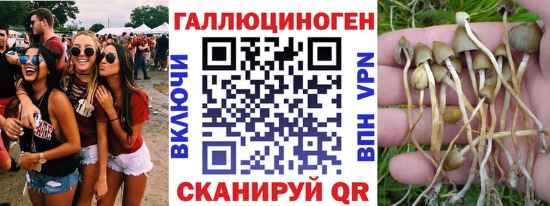 Псилоцибиновые грибы мицелий Галич
