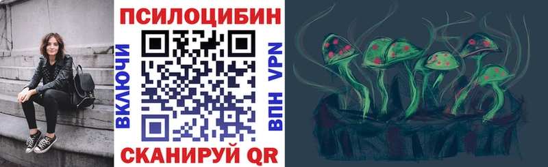 Купить где  Галич  Псилоцибиновые грибы Cubensis 